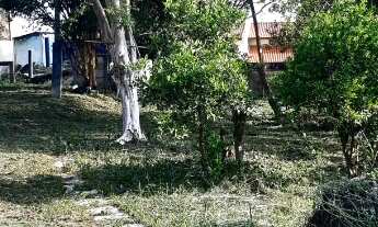 Imagem 5: Excelente Terreno bem localizado excelente oportunidade para construtores e investidores