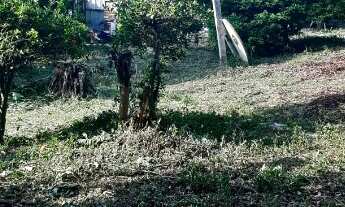 Imagem 7: Excelente Terreno bem localizado excelente oportunidade para construtores e investidores