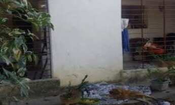 Imagem 3: GALPAO COMERCIAL em PAULISTA - PE, JANGA