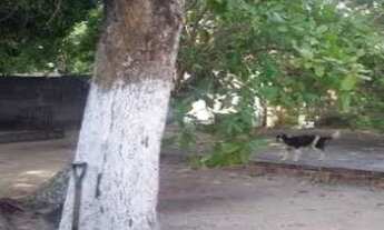 Imagem 6: GALPAO COMERCIAL em PAULISTA - PE, JANGA