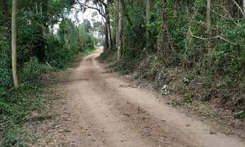 Imagem: Área em Francisco Morato