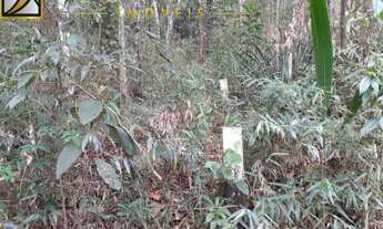 Imagem 2: Área em Francisco Morato