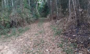 Imagem 6: Área em Francisco Morato