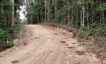 Imagem 4: Área em Francisco Morato