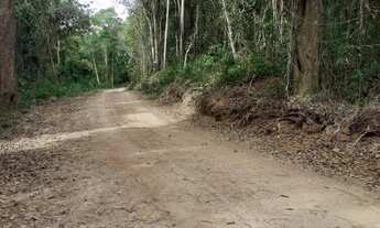 Imagem 7: Área em Francisco Morato