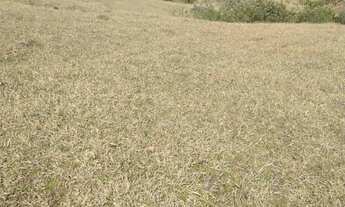 Imagem 6: 7M² de Área Total