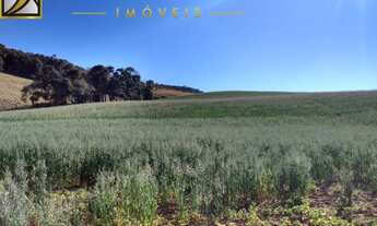 Imagem: 6M² de Área Total