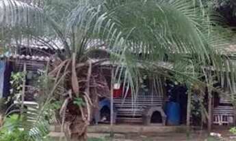 Imagem: Chácara em Mairiporã