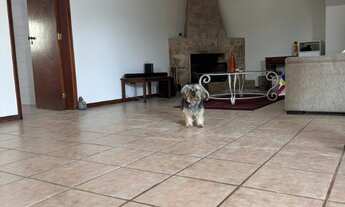 Imagem 7: Linda casa em Nova Caieiras