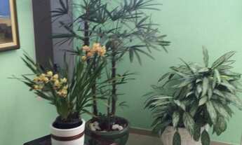 Imagem 5: 2 dormitórios, 1 suítes, 4 banheiro, 2 vagas na garagem, 275M² de Área Construída