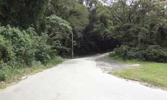 Imagem 5: Terreno na Serra da Cantareira