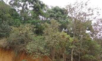 Imagem: Terreno na Serra da Cantareira