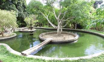 Imagem: CHACARA COMERCIAL em SERRA - ES, CENTRAL