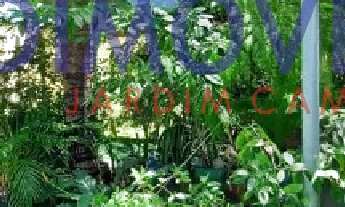 Imagem 6: Casa Linear em Condomínio Fechado na Serra!