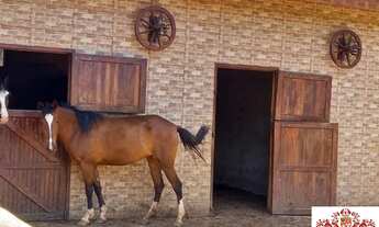 Imagem: Venda Sítio em Bragança - Portal São