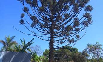 Imagem 3: Venda Chácara nova em Atibaia (3 dormitórios com 1 Suíte) - Aceita Financiamento bancário