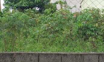 Imagem: Terreno a venda em Bragança - 250m2