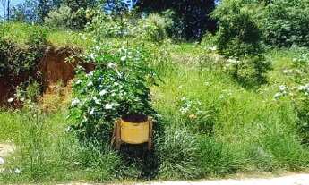 Imagem: Venda de Terreno na Hípica Jaguari em Bragança
