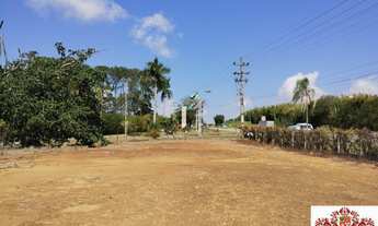 Imagem 7: Venda Terreno Comercial - INVESTIDORES - Excelente terreno plano a beira de Rodovia