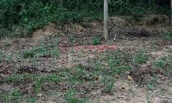 Imagem: Terreno de frente para lagoa, com vista