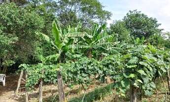 Imagem 3: SITIO RURAL em INDAIATUBA - SP, MATO DENTRO