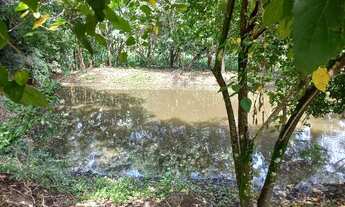 Imagem 5: SITIO RURAL em INDAIATUBA - SP, MATO DENTRO