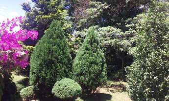 Imagem 5: CASA RESIDENCIAL em Nova Lima - MG, Condomínio Miguelão