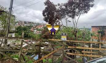Imagem: VENDER TERRENO VILA ROSINA - CAIEIRAS