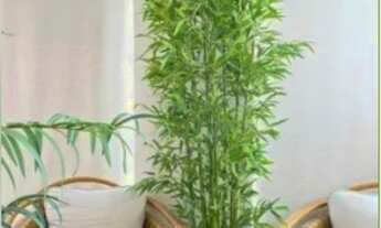 Imagem 5: BORA BORA, 2 dormitórios na Avenida Embaixador Abelardo Bueno