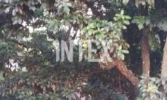 Imagem 6: Imperdível oportunidade: Casa à venda em São Gonçalo-RJ, Barro Vermelho, 3 quartos, 2 sala