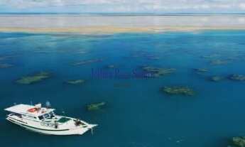 Imagem 4: FAZENDA RESIDENCIAL em CARAVELAS - BA, Alcobaça