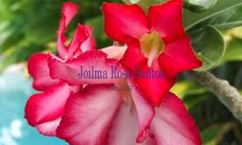 Imagem 6: 3 dormitórios, 3 suíte, 3 banheiro, 2 vagas na garagem, 169M² de Área Construída