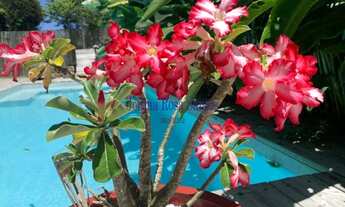 Imagem 5: 3 dormitórios, 3 suíte, 3 banheiro, 2 vagas na garagem, 169M² de Área Construída