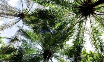 Imagem 7: 5 dormitórios, 5 suíte, 7 banheiro, 6 vagas na garagem, 550M² de Área Construída