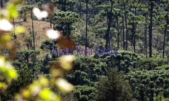 Imagem 4: CASA EM CONDOMÍNIO FECHADO RESIDENCIAL em CAMPOS DO JORDÃO - SP, PARQUE AQUARELA