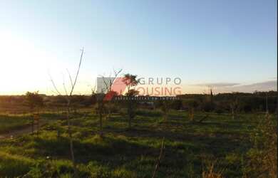 Imagem 3: Sítio para venda em Campinas, em Barão Geraldo, com 62.770 m², topografia plana!