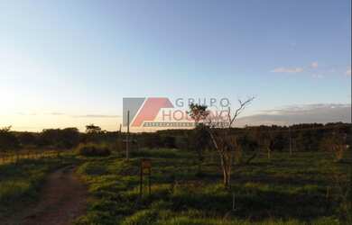 Imagem 4: Sítio para venda em Campinas, em Barão Geraldo, com 62.770 m², topografia plana!