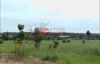 Imagem 5: Sítio para venda em Campinas, em Barão Geraldo, com 62.770 m², topografia plana!