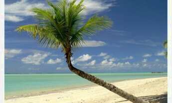 Imagem 4: 13 dormitórios na Estrada Alagoas