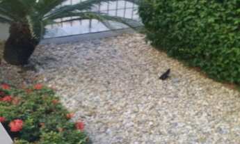 Imagem 6: 3 dormitórios na Rua Allan Kardec