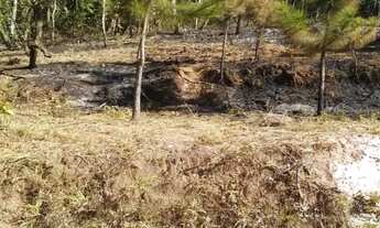 Imagem 3: Terreno residencial para Venda em Terra Preta, Mairiporã