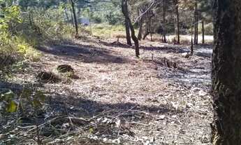Imagem 5: Terreno residencial para Venda em Terra Preta, Mairiporã