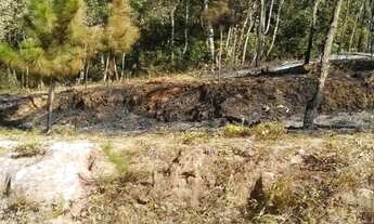 Imagem 6: Terreno residencial para Venda em Terra Preta, Mairiporã