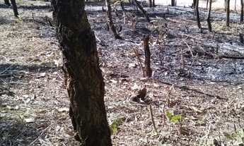 Imagem 7: Terreno residencial para Venda em Terra Preta, Mairiporã