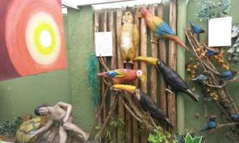 Imagem 7: Terreno próximo ao mar, na Praia do Sonho por R$650.000.00