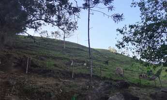 Imagem 4: SITIO RESIDENCIAL em SÃO FRANCISCO XAVIER - SP, BAIRRRO DO RONCADOR