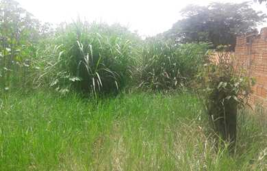 Imagem 2: TERRENO RESIDENCIAL em MONTE MOR - SP, JARDIM COLORADO