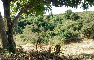 Imagem 3: CHACARA RURAL em MONTE MOR - SP, CHÁCARA RECREIO PLANALTO
