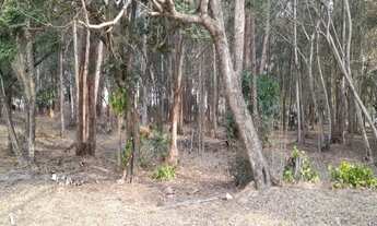 Imagem: CHACARA RURAL em CAMPINAS - SP, SÃO BENTO