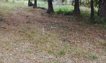 Imagem 5: TERRENO RURAL em Campinas - SP, Bom Jesus de Pirapora